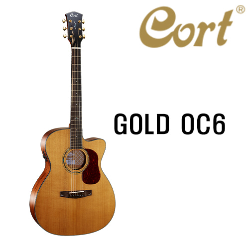 콜트 골드 OC6 / Cort GOLD OC6 [네이버톡톡/카톡 AMA-zing 추가인하]
